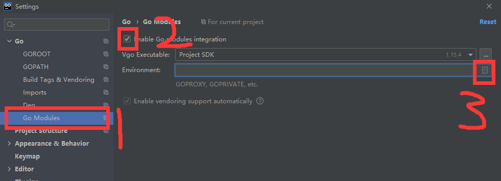 Goland X开发环境配置 小宝笔记